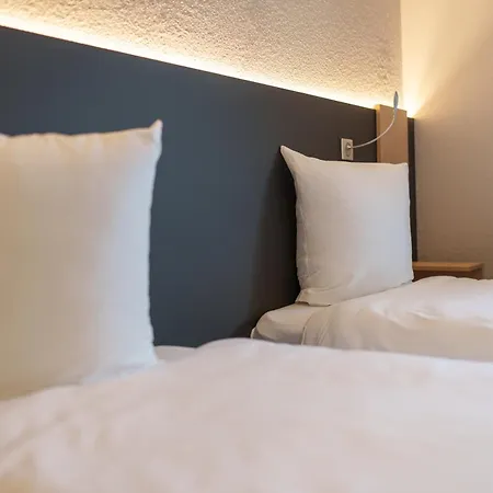 Hotel Logis Restaurant Ritter'hoft 3*